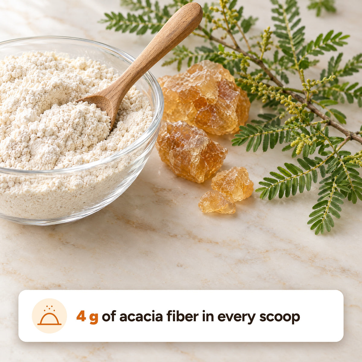Daily Fiber