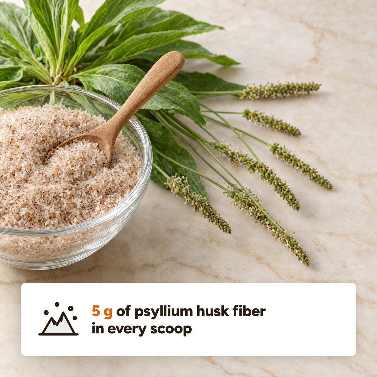 Daily Fiber